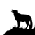 Wolf ilustration