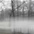 Misty river