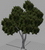 Sprite - Based Particle Trees