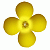 Website background image daisy flower