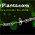 Plant Themed Web Header
