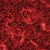 Free Essential cs2 skill photoshop how to create blood Cell or bloody guts or organs
