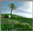 Grass Tutorial,3DsMax