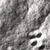 Grey rock texture